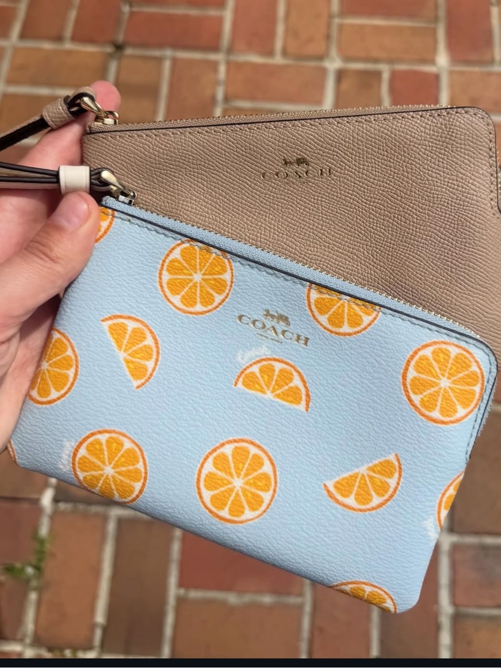 Coach corner zip wristlet in orange slice print